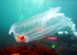 ����[������̎ʐ^