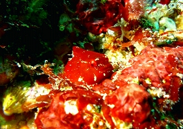 ����[������̎ʐ^