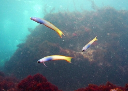 ����[������̎ʐ^