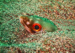 ����[������̎ʐ^