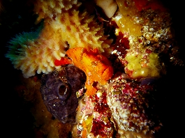 ����[������̎ʐ^