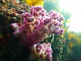 ����[������̎ʐ^