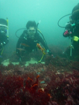 ����[������̎ʐ^