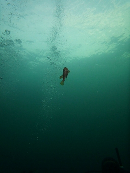 ����[������̎ʐ^