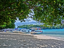 �p���I�c�A�[�V�c����摜1