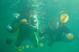 �p���I�c�A�[�V�c����摜12