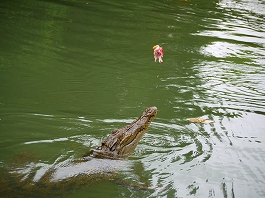 �p���I�c�A�[�V�c����摜16