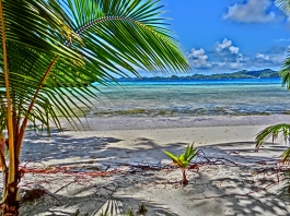 �p���I�c�A�[�V�c����摜2