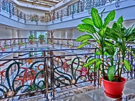 �p���I�c�A�[�V�c����摜4