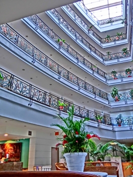 �p���I�c�A�[�V�c����摜5