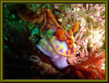 グランプリ作品